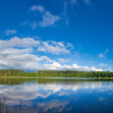 Yaz günü Orman Gölü