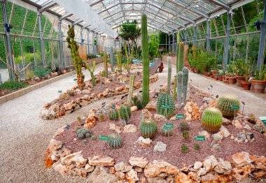 PISA, ITALY - 30 Mayıs 2018: Orto botanico di Pisa 'daki (Orto Botanico dell Universita di Pisa) en eski üniversite botanik bahçesi
