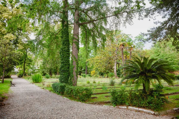 PISA, ITALY - 30 Mayıs 2018: Orto botanico di Pisa (Orto Botanico dell Universita di Pisa), Cosimo Medici tarafından dünyanın en eski botanik bahçesi.