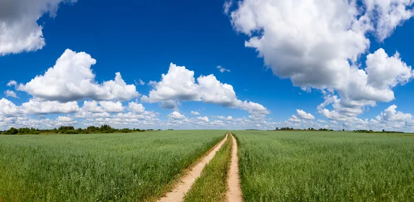 Letní panorama — Stock fotografie