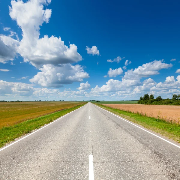 Strada di campagna — Foto Stock