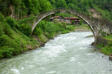Fırtına Nehri üzerinde Senyuva köprü