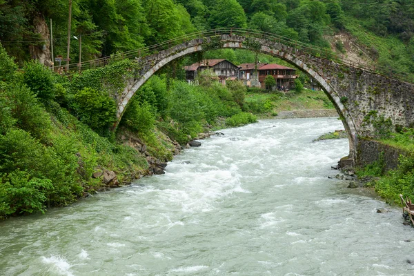 Senyuva-Brücke über die Firtina — Stockfoto