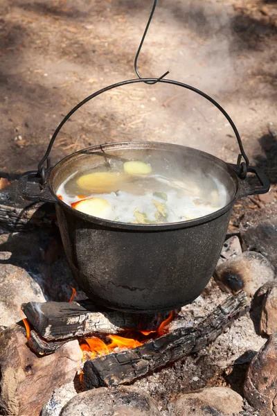 Kamp ateşi Balık Pişirme — Stok fotoğraf