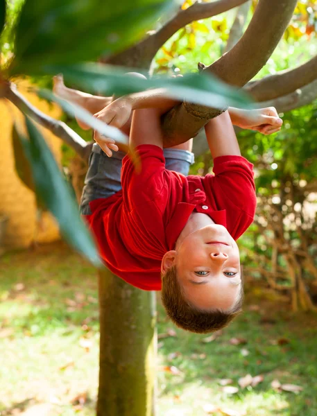 Criança subindo em uma árvore — Fotografia de Stock