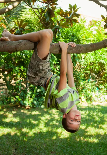Criança subindo em uma árvore — Fotografia de Stock