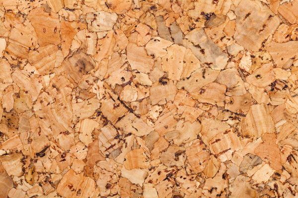 Cork wall panel