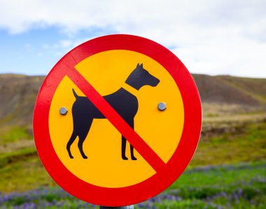 Köpekler izin yol yok