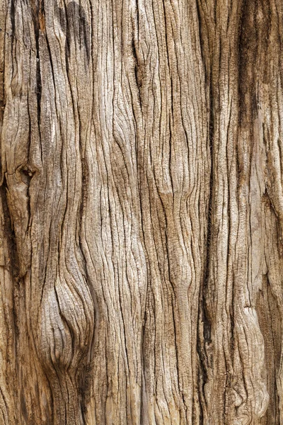 Textura rústica de madera — Foto de Stock