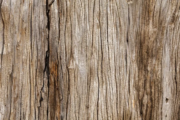 Rustikt trä textur — Stockfoto