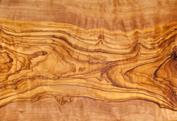 Текстура оливкового дерева