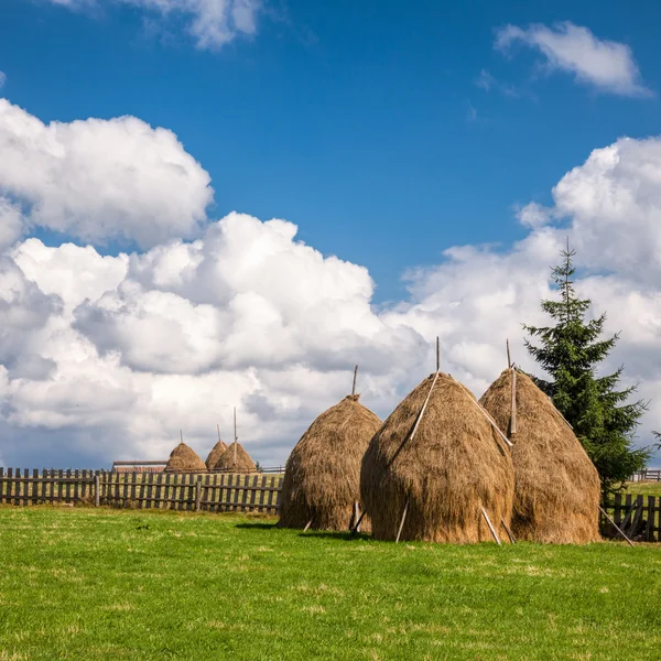 Romanian summer landscape with haystacks — Stock Photo, Image