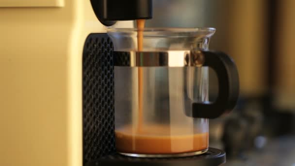 Bira Espresso kahve kahve makinesi — Stok video