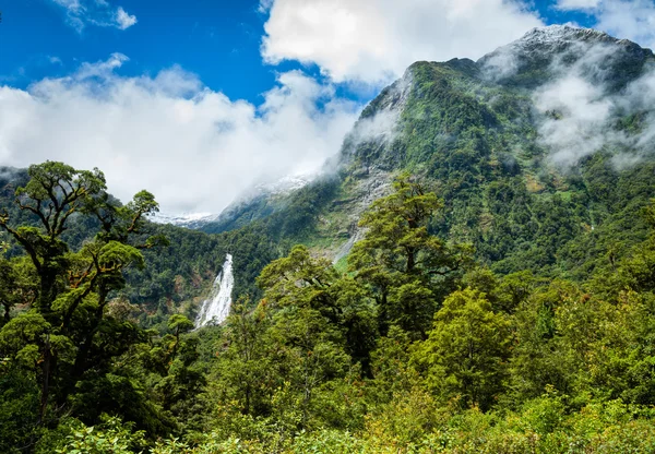 Park Narodowy Fiordland w Nowej Zelandii — Zdjęcie stockowe