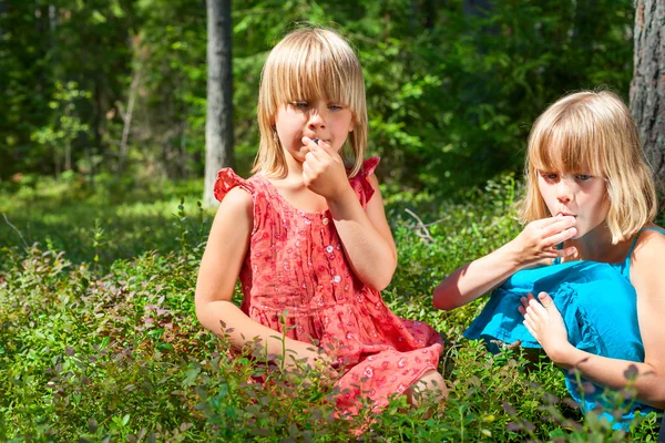 Twee kleine meisjes plukken bosbessen — Stockfoto