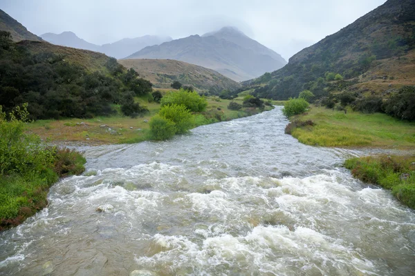 Überfluteter Bach in Neuseeland — Stockfoto