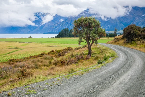 Strada sterrata in Nuova Zelanda — Foto Stock