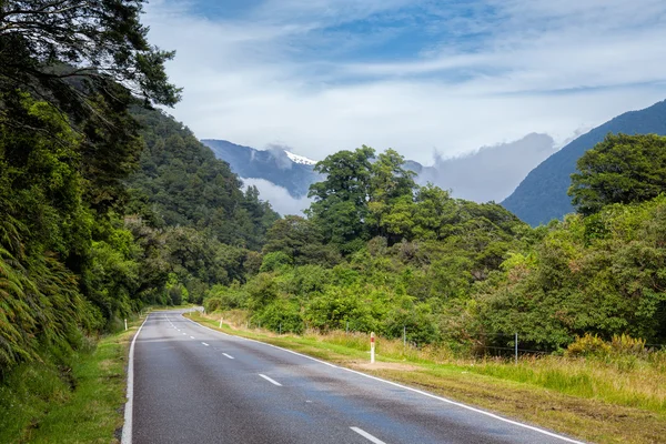 Strada tortuosa attraverso la foresta pluviale in Nuova Zelanda — Foto Stock