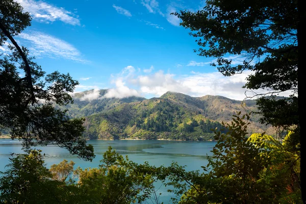 Vue encadrée de Marlborough Sounds depuis la piste Queen Charlotte — Photo