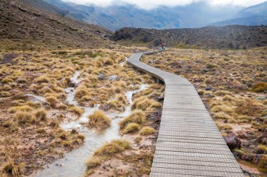 Ahşap tahta at Tongariro Ulusal Park Yeni Zelanda