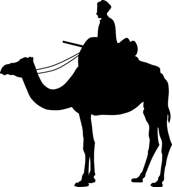 骆驼剪影 — 图库照片