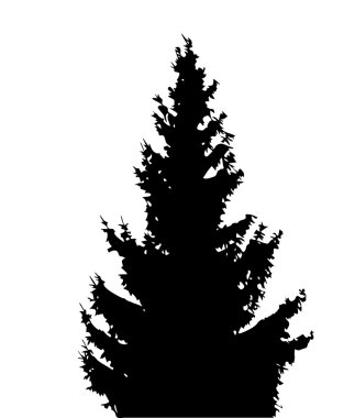 Ağaç siluet üzerinde beyaz Backgorund izole. Vecrtor hasta