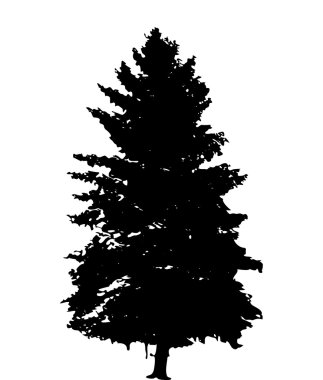 Ağaç siluet üzerinde beyaz Backgorund izole. Vecrtor hasta