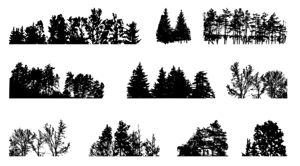 Set of Tree Silhouette Isolated on White Backgorund. Vecrtor Ill