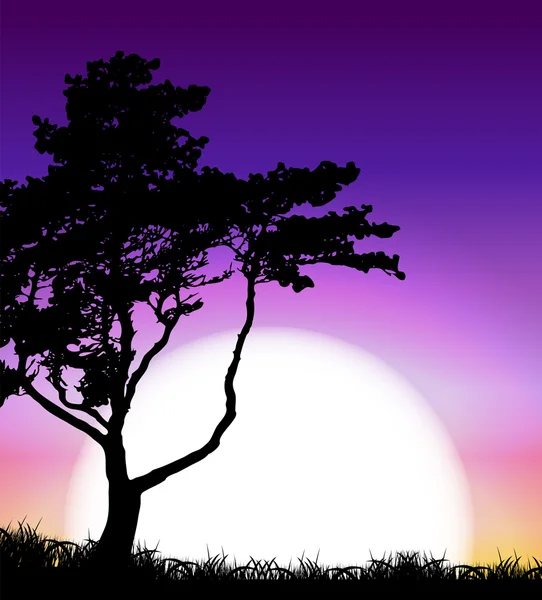 夕日を背景に木のシルエット。ベクトル図 — ストックベクタ
