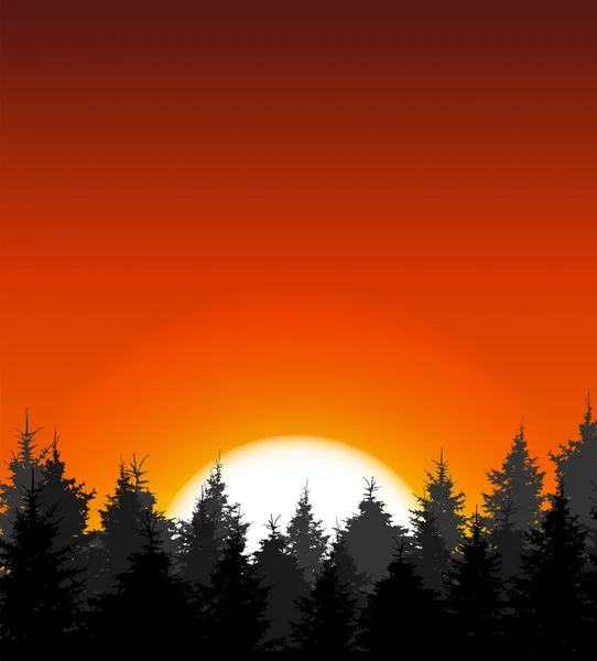 Silhouette of Tree on Sunset Background. Vector Illustration — Stock Vector