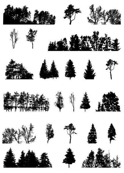 Set of Tree Silhouette Isolated on White Backgorund. Vecrtor Ill — Stock Vector