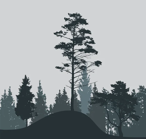 Bild av naturen. Träd Silhouette. Vektor Illustration. — Stock vektor