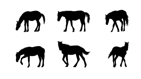Cavalo corre, Lúpulo, Galope isolado em fundo branco — Vetor de Stock