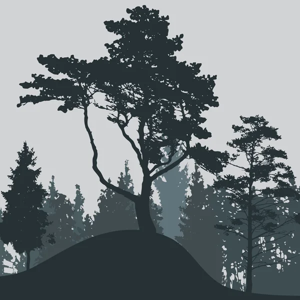 Bild der Natur. Baumsilhouette. Vektorillustration. — Stockvektor