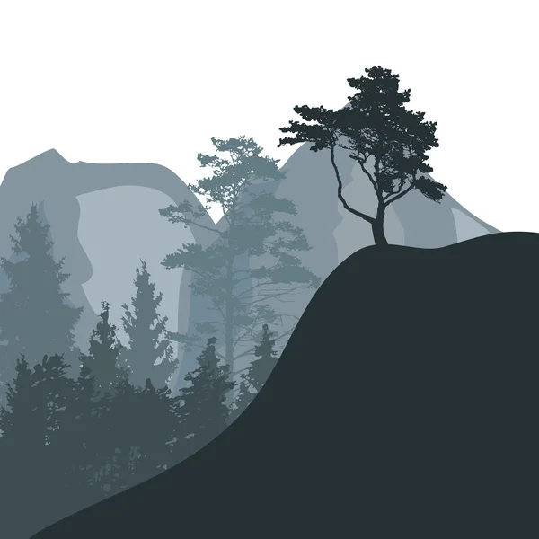 Bild der Natur. Baumsilhouette. Vektorillustration. — Stockvektor