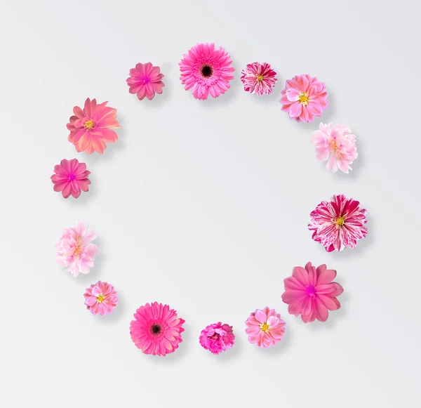 Frame Made from Summer Pink Flowers — Stock Photo, Image