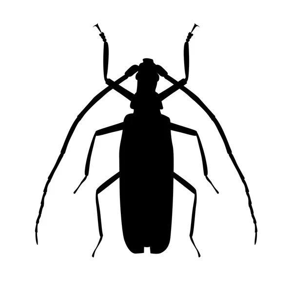 Große Käfer-Silhouetten-Vektorillustration — Stockvektor