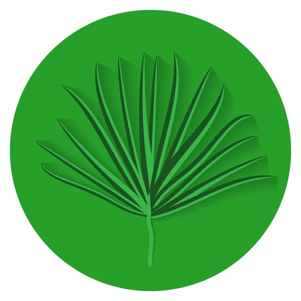 Beyaz zemin üzerine yeşil palmiye yaprağı. Vektör çizim. — Stok Vektör