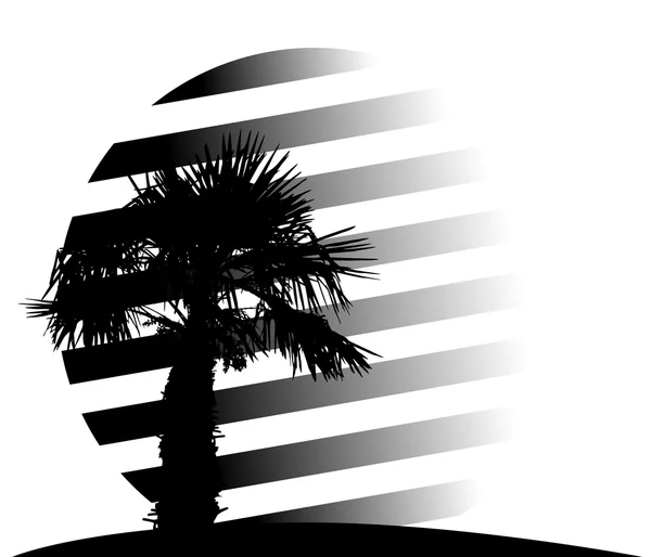 Silhouette of Palm Trees. Vector Illustration. — Stock Vector