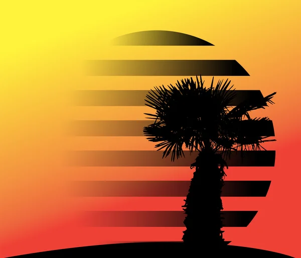 Silhouette von Palmen. Vektorillustration. — Stockvektor