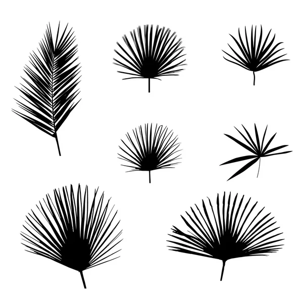 Черный пальмовый лист на белом фоне. Векторная миграция . — стоковый вектор