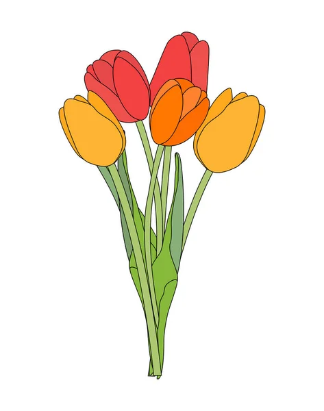 Bouquet of spring flowers tulips isolated on white background Vector Illustration