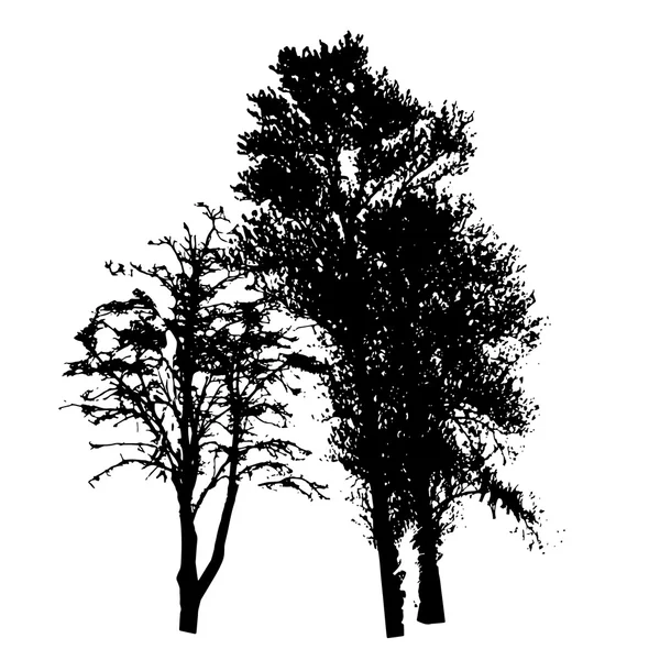 Silueta de Árbol Aislada en Backgorund Blanco. Vecrtor Illustrati — Archivo Imágenes Vectoriales