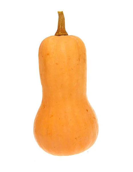 Calabaza naranja aislada sobre fondo blanco — Foto de Stock