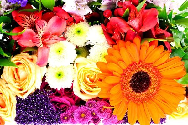 Farverige blomster buket - Stock-foto