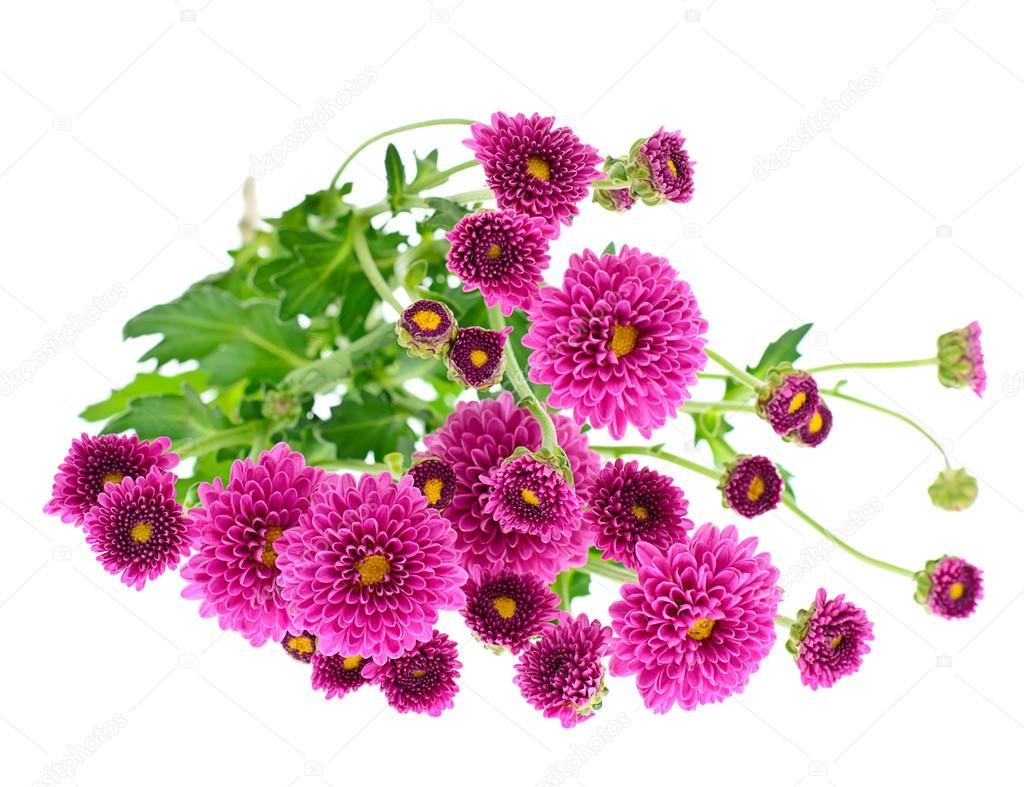 Colorful Flowers Bouquet