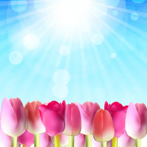 Belles tulipes roses contre le ciel brillant Illustration vectorielle — Image vectorielle