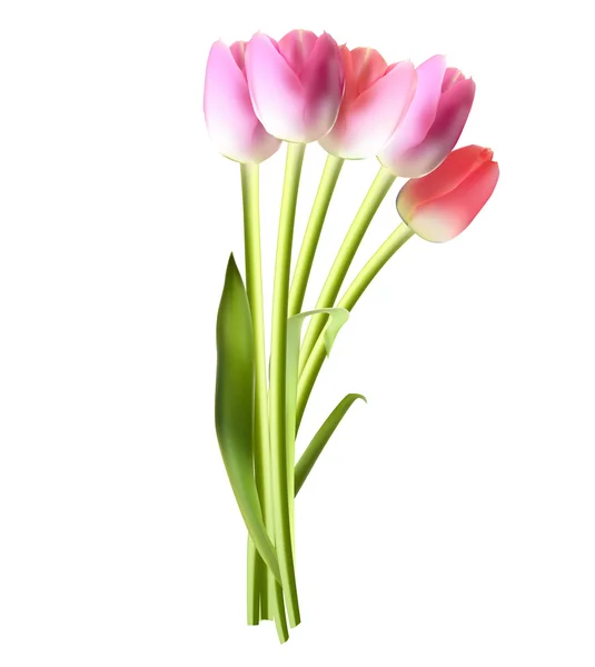 Beautiful Pink Realistic Tulip Vector Illustration — Stock Vector