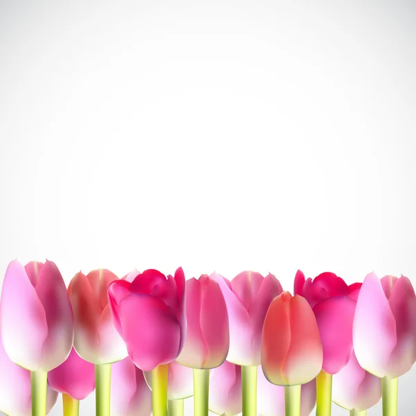 Schöne rosa realistische Tulpenvektorillustration — Stockvektor