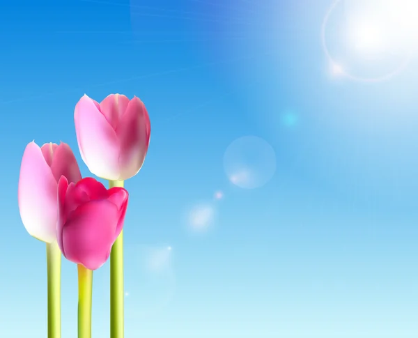 Hermosos tulipanes rosados contra el cielo brillante Vector Ilustración — Archivo Imágenes Vectoriales